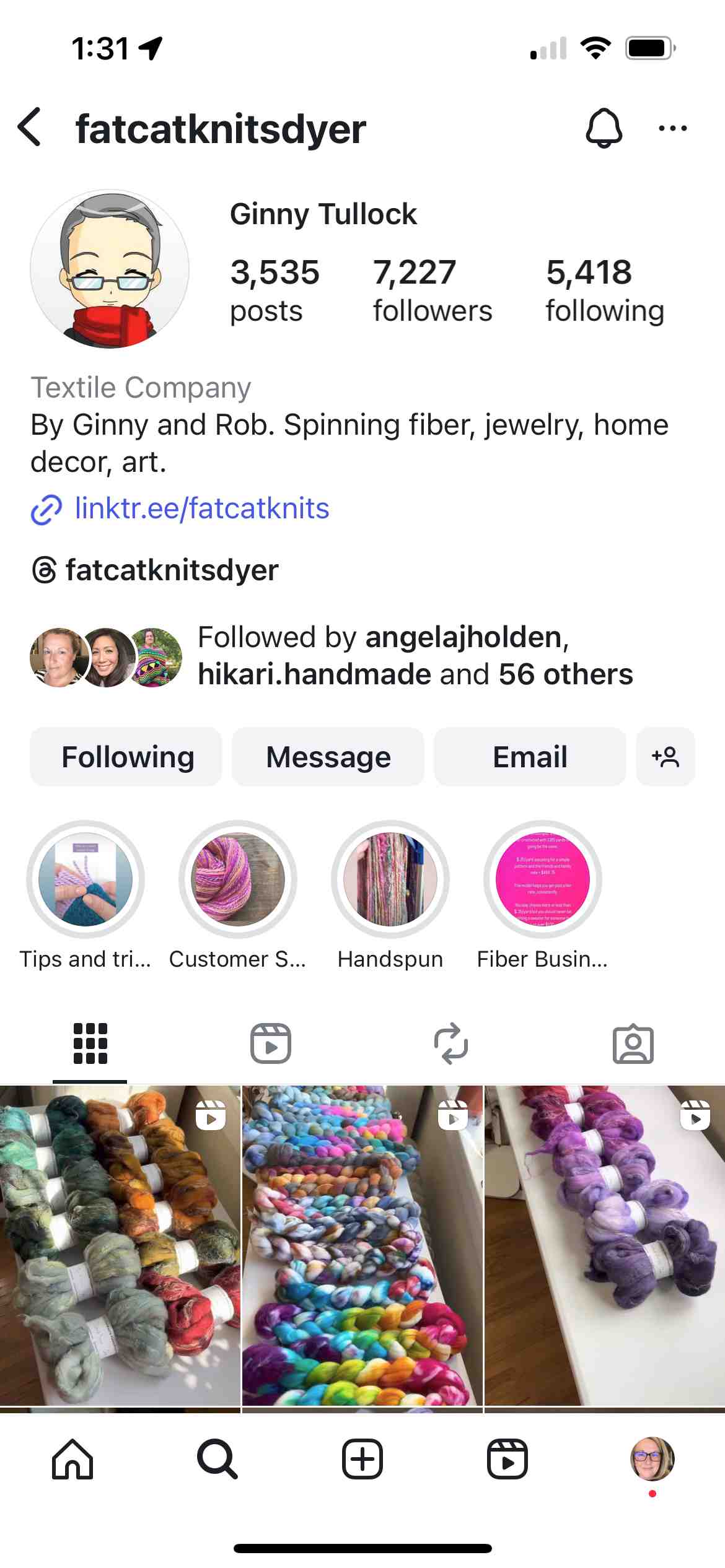 Screenshot of Instagram profile for fatcatknitsdyer.
