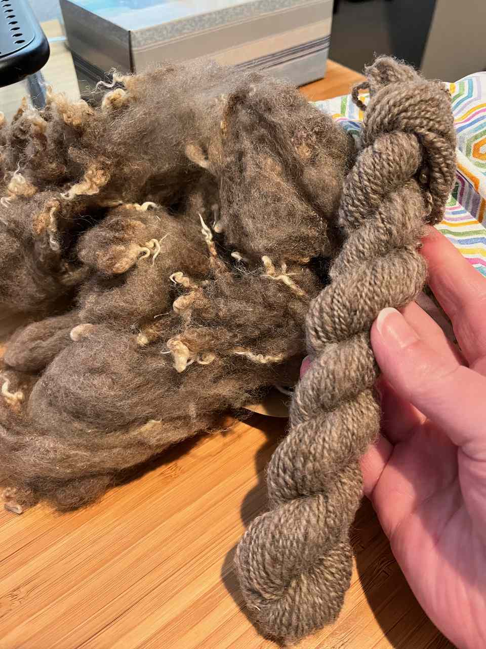 Washed, combed and hand spun Finn fleece mini skein.